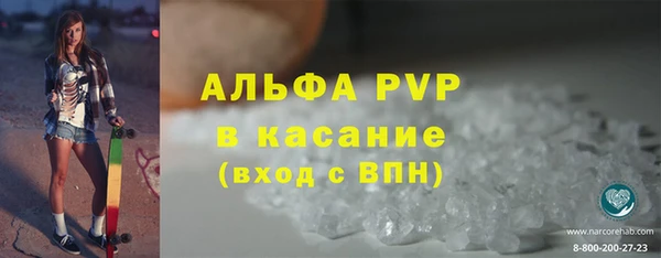 не бодяженный Бородино
