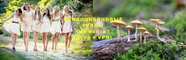 бошки Бронницы