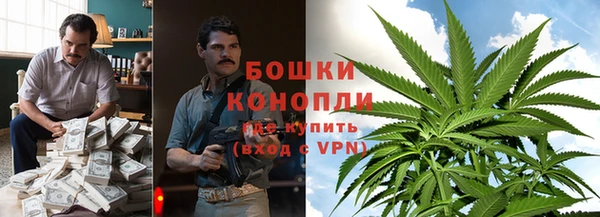 не бодяженный Бородино