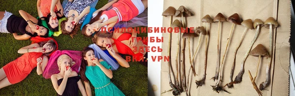 не бодяженный Бородино
